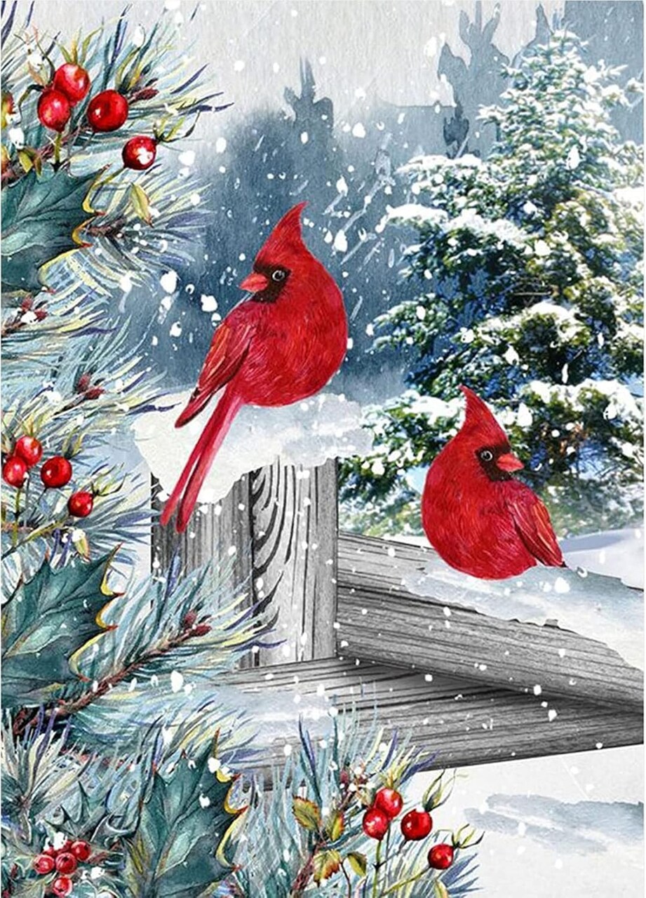 Winter Cardinal Christmas Diamond Art Painting Kits (12x16inch)